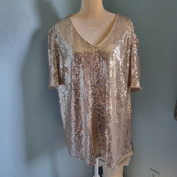 NWT Lane Bryant full sequence V blouse/top - Picture 1 of 9